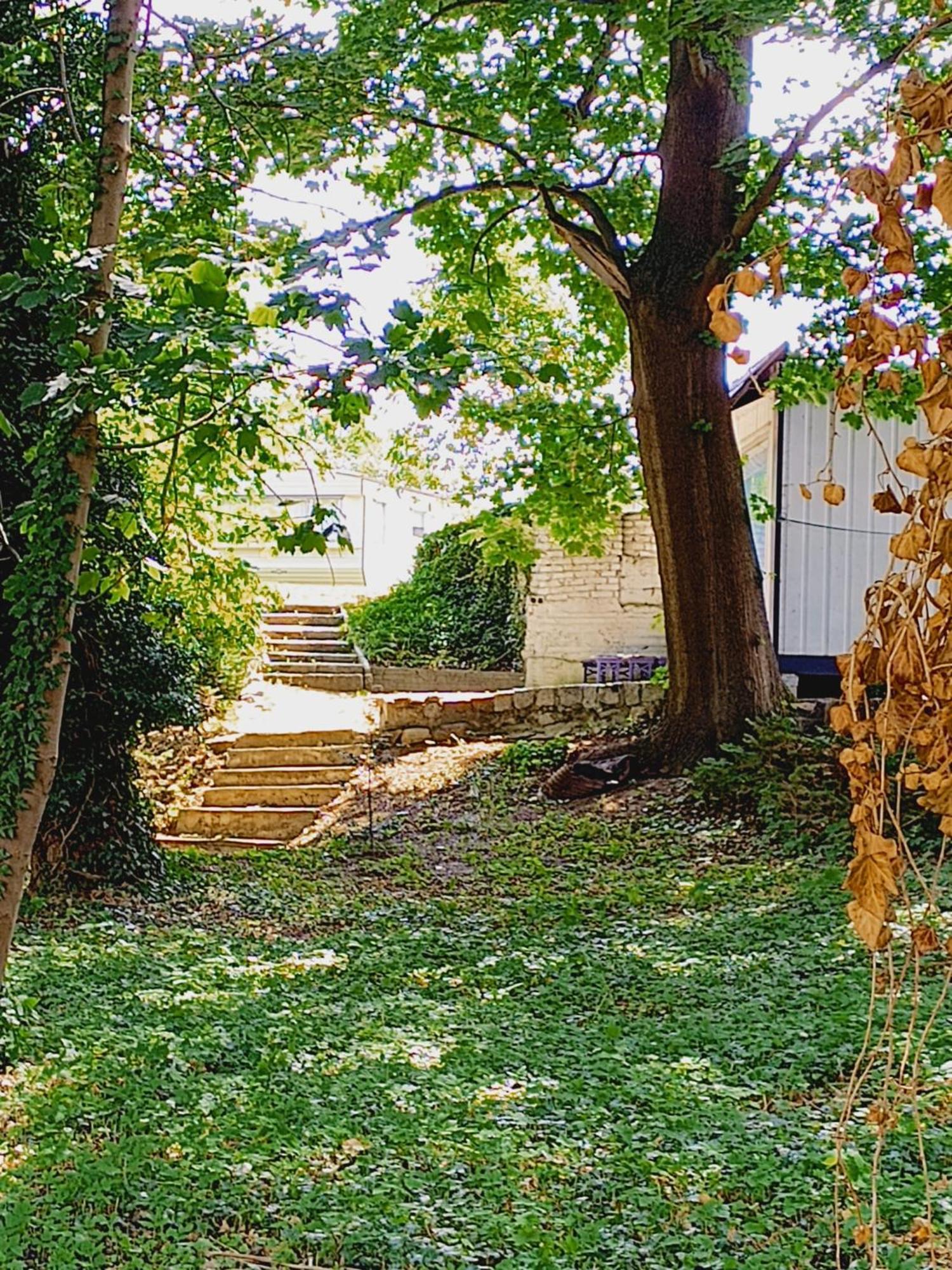 Domki Obok Plazy Hotel Moryn Bagian luar foto