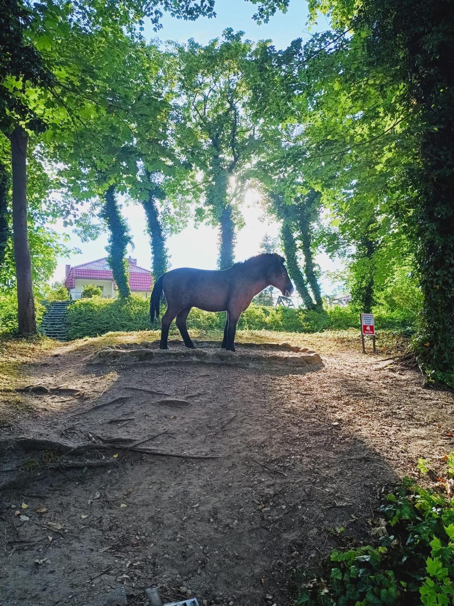 Domki Obok Plazy Hotel Moryn Bagian luar foto