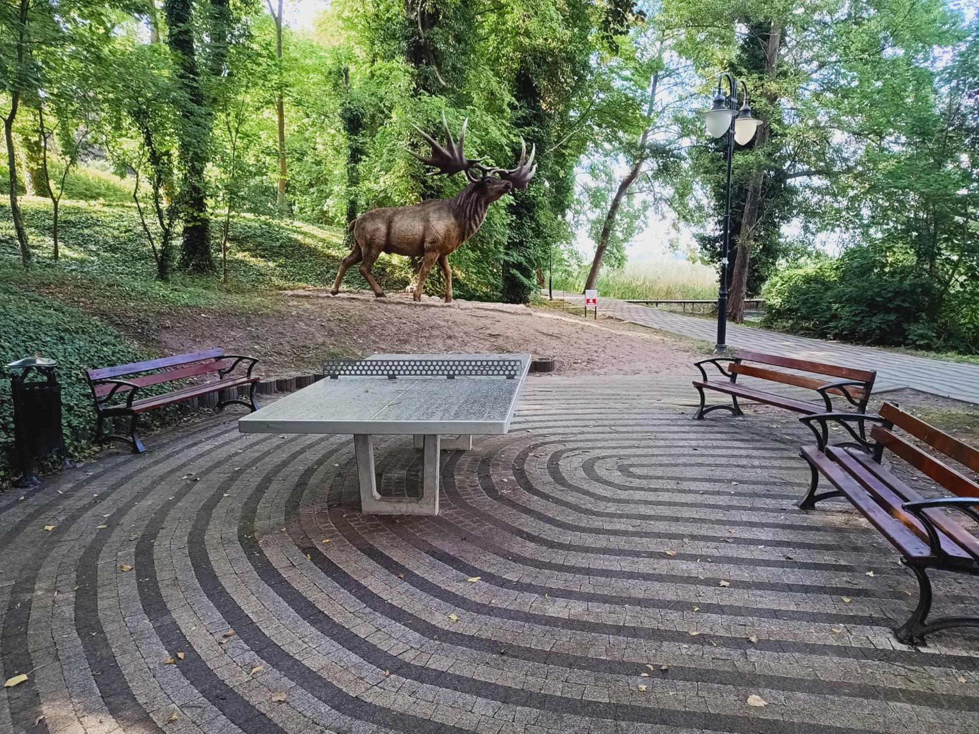 Domki Obok Plazy Hotel Moryn Bagian luar foto